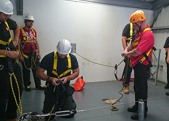 Safe Use of Harnesses